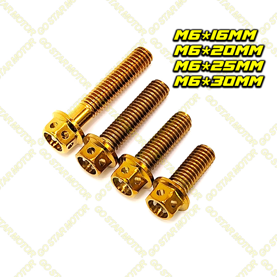 SCREW M6 (16MM / 20MM / 25MM / 30MM) Universal Screw Gold