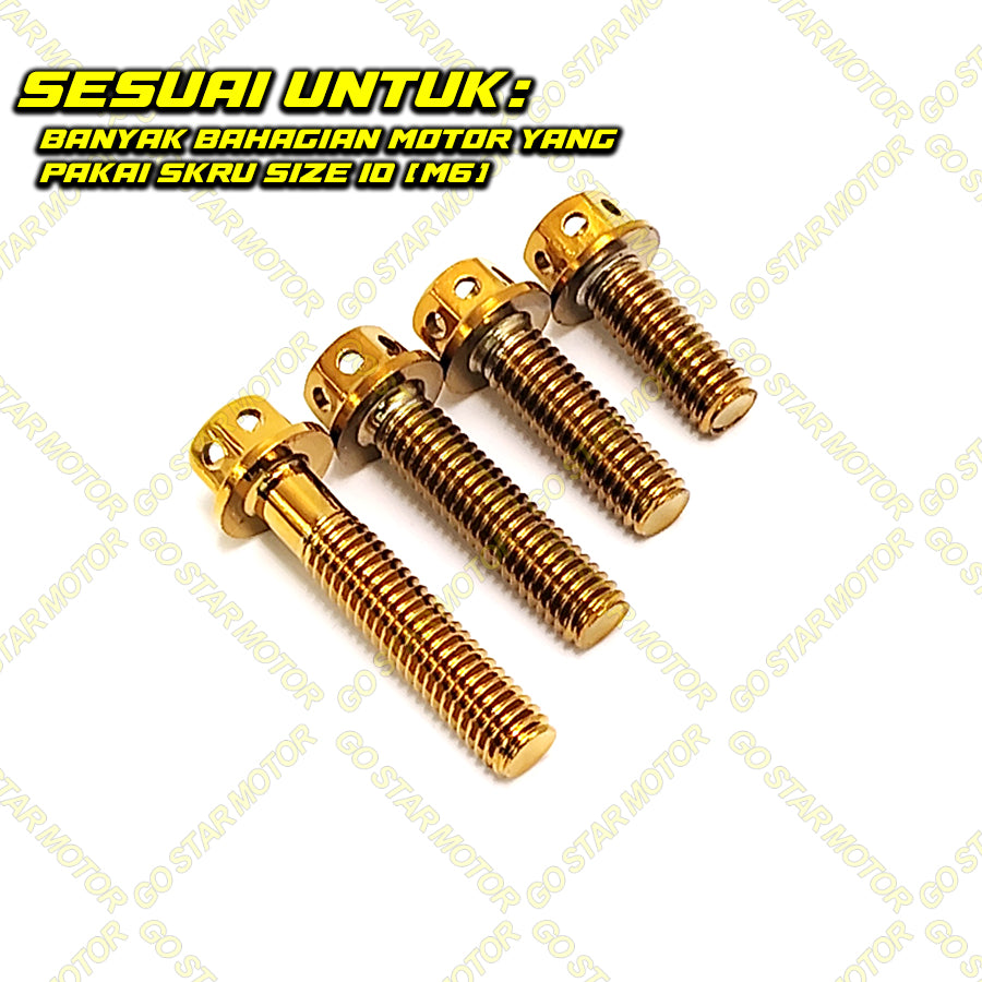 SCREW M6 (16MM / 20MM / 25MM / 30MM) Universal Screw Gold
