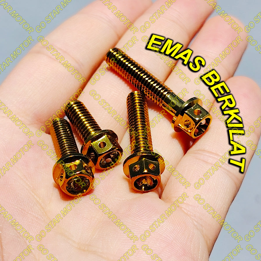 SCREW M6 (16MM / 20MM / 25MM / 30MM) Universal Screw Gold