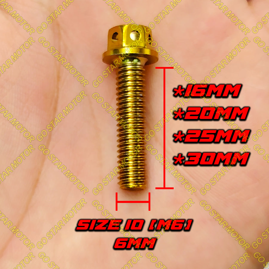 SCREW M6 (16MM / 20MM / 25MM / 30MM) Universal Screw Gold