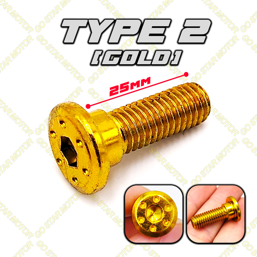 SCREW M8 = UNIVERSAL DISC PLATE SCREW (GOLD / TITANIUM / SILVER)