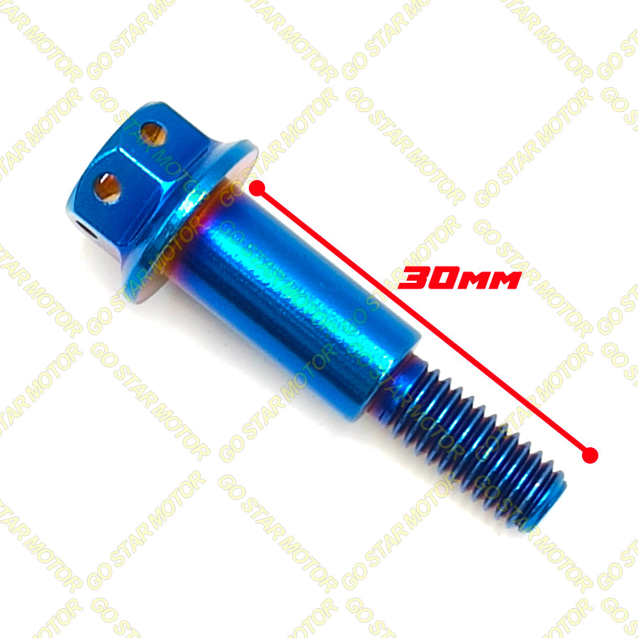 SKRU M6 (25MM / 30MM) = Bolt Tuas Brek & Klac