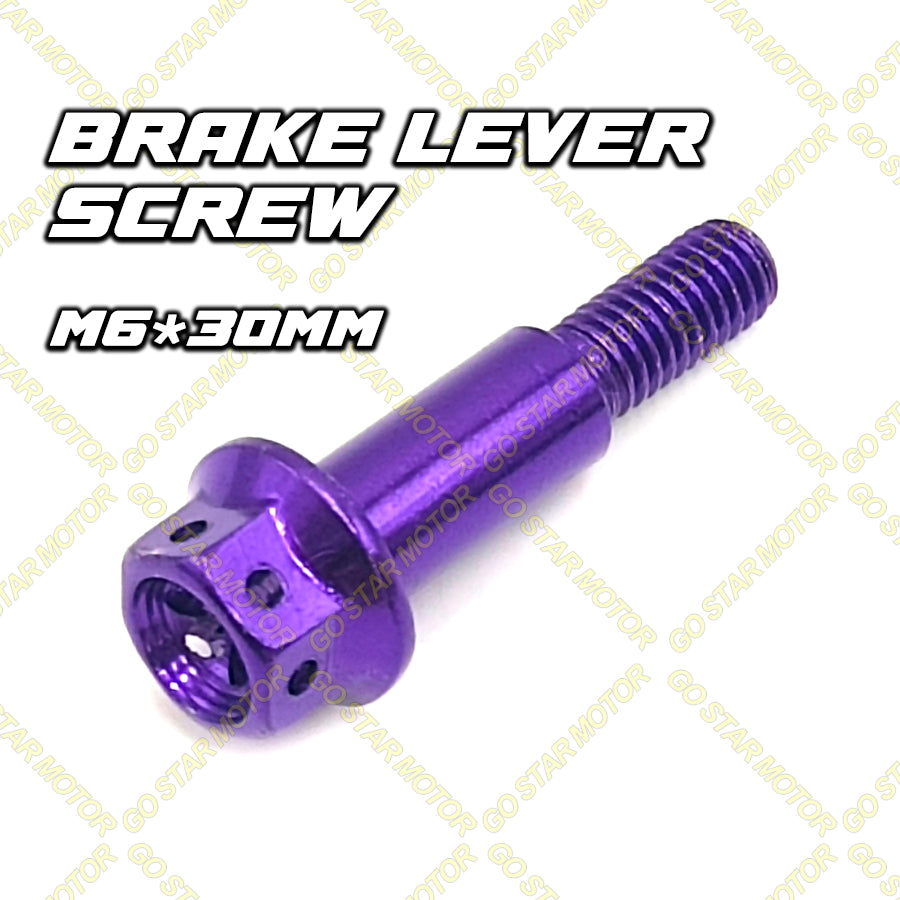 SKRU M6 (25MM / 30MM) = Bolt Tuas Brek & Klac