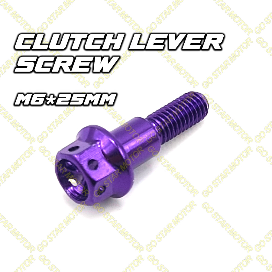 SKRU M6 (25MM / 30MM) = Bolt Tuas Brek & Klac