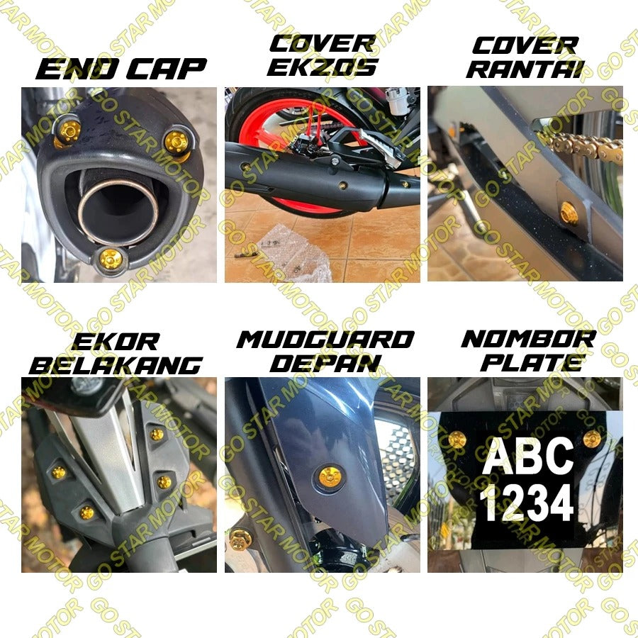 UNIVERSAL SCREW M6*15MM (FENDER / EXHAUST COVER / ETC.)